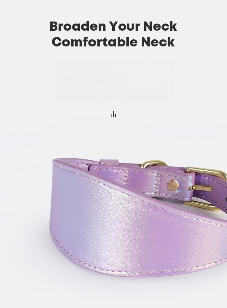 REFLECTIVE LEATHER DOG COLLAR  - Headcollar Rope Set ulasan dan harga