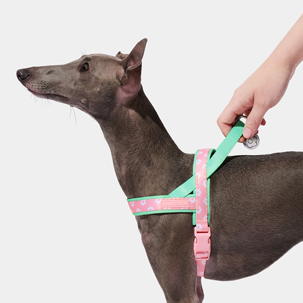 Luxury Pet Chest Strap Tractio - Headcollar Rope Set ulasan dan harga