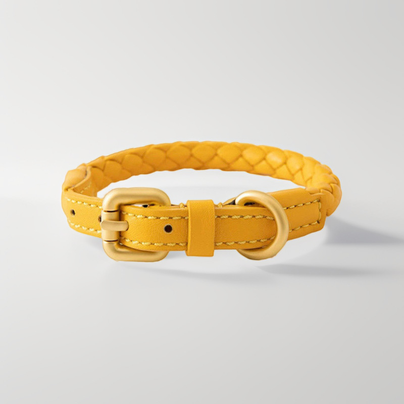 Adjustable Braided Leather Pet - Headcollar Rope Set ulasan dan harga