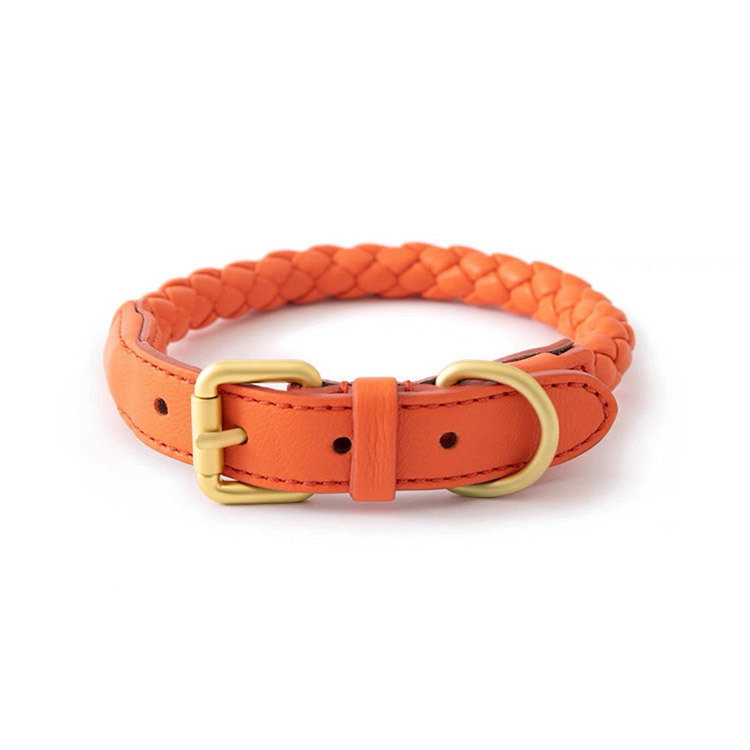 Adjustable Braided Leather Pet - Headcollar Rope Set ulasan dan harga